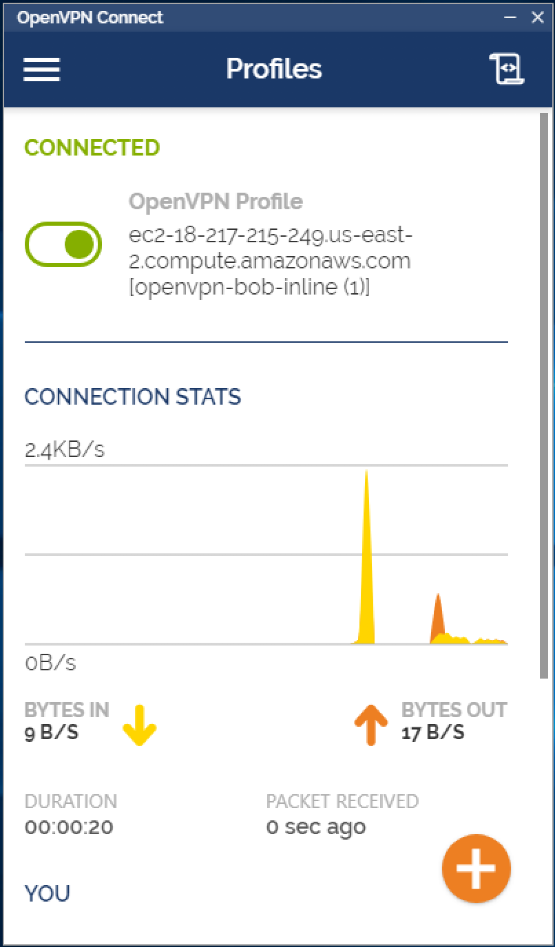 openvpn-connect.png
